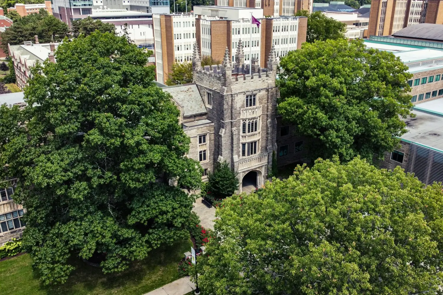 Hamilton Health Sciences Foundation